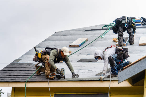 Professional Gutter Installation technician working in Rogersville, PA